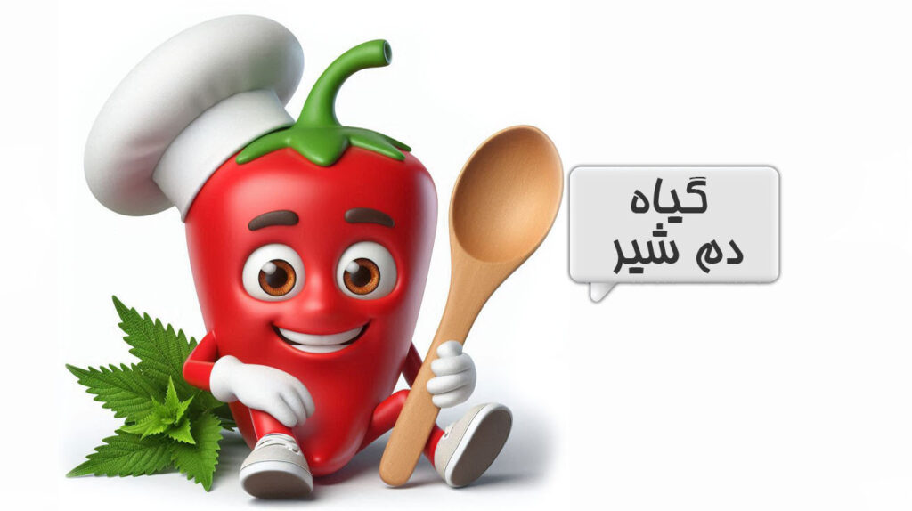 گیاه دم شیر
